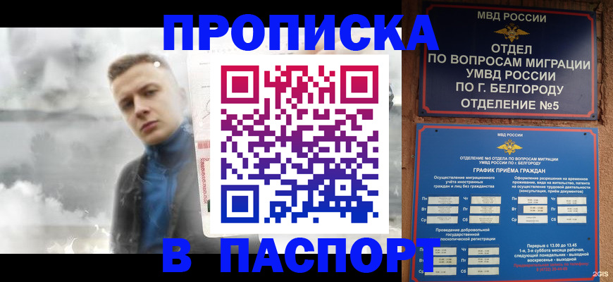 временная регистрация в Никольском